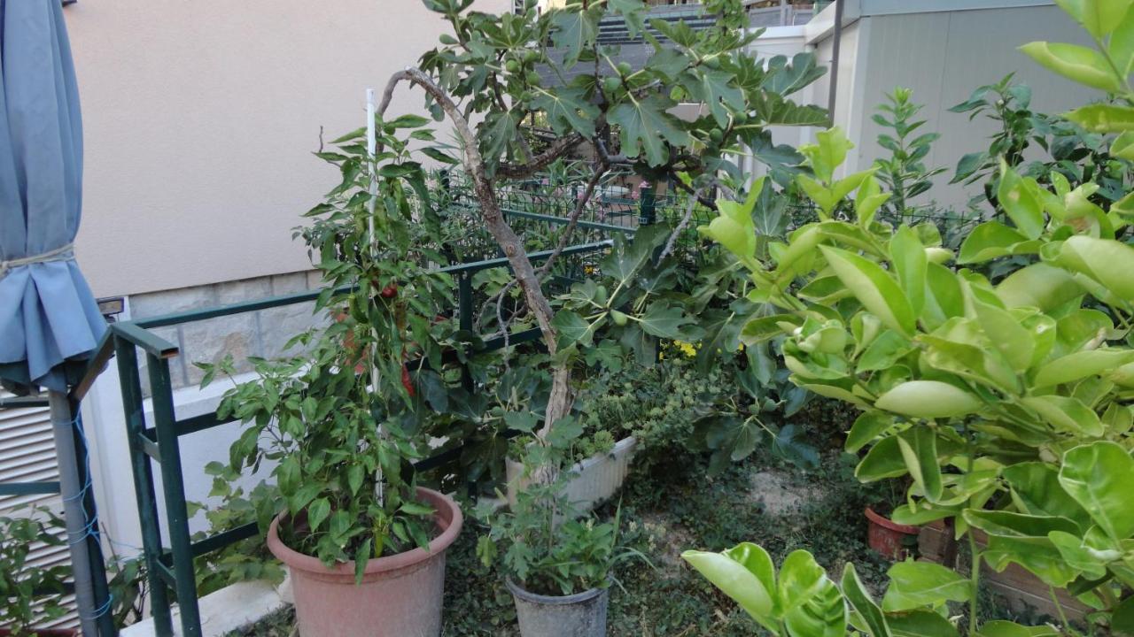 Apartman Paro Split Exterior foto