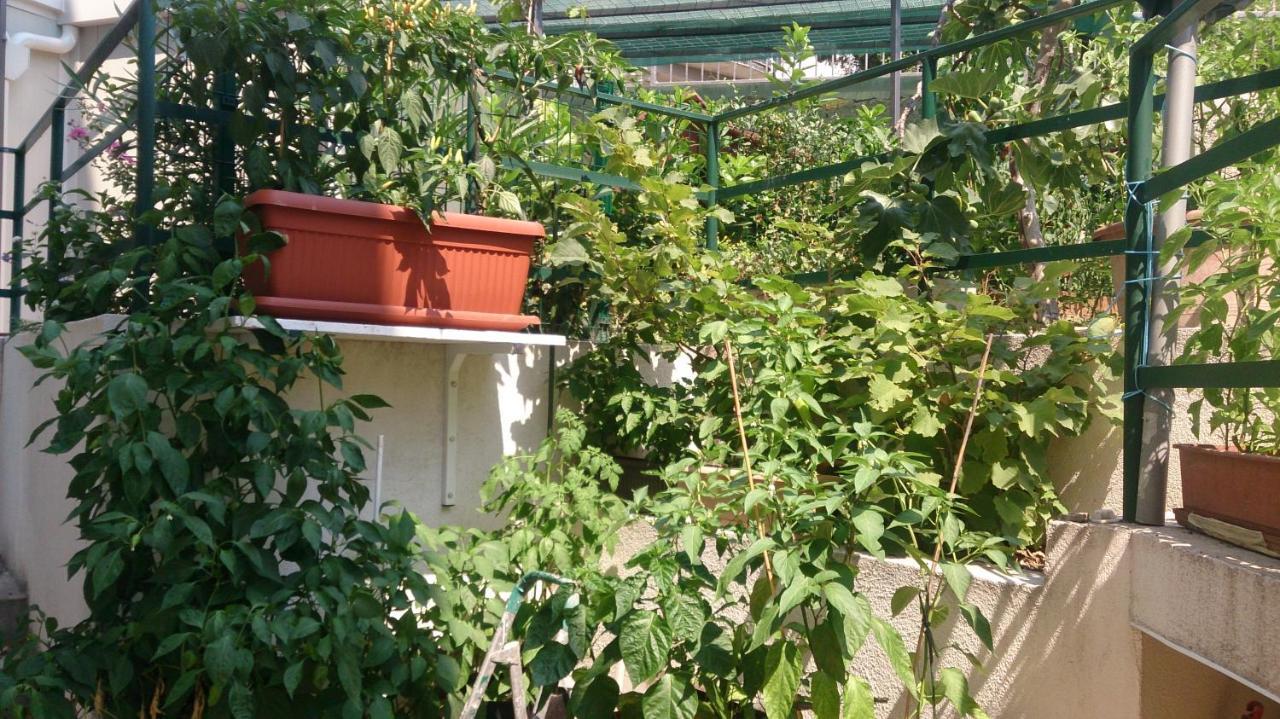 Apartman Paro Split Exterior foto